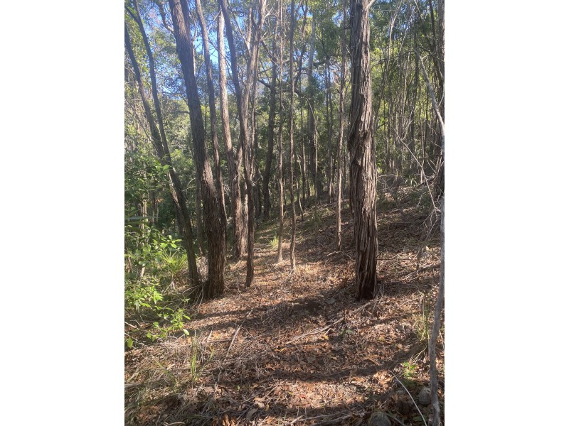 8 Bayview Close, Agnes Water QLD 4677