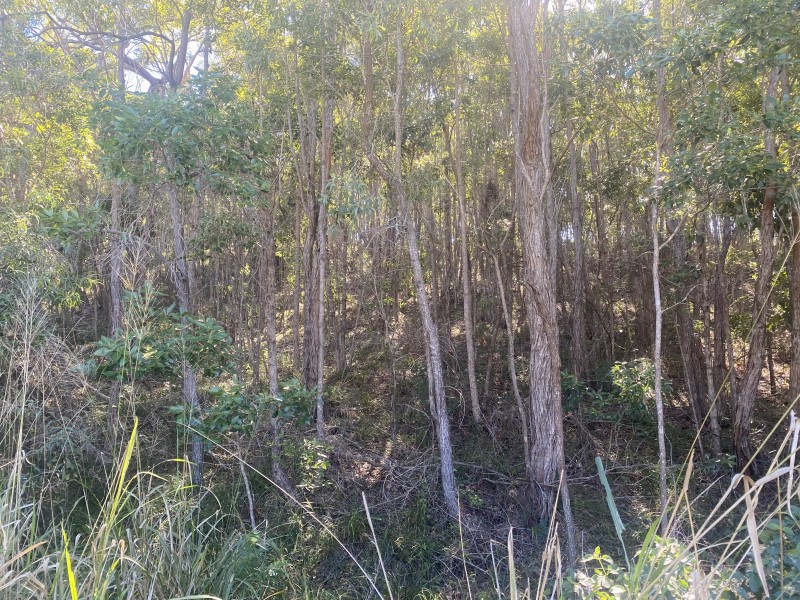 8 Bayview Close, Agnes Water QLD 4677