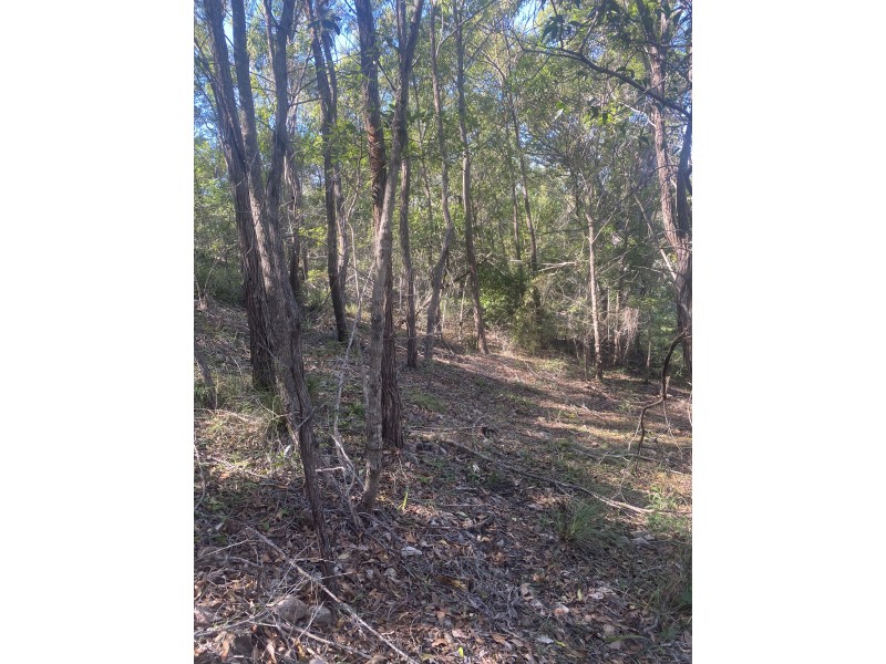 8 Bayview Close, Agnes Water QLD 4677