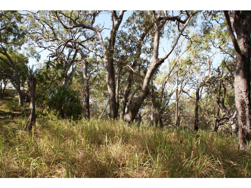 Lot 32 Bloodwood Avenue, Agnes Water QLD 4677