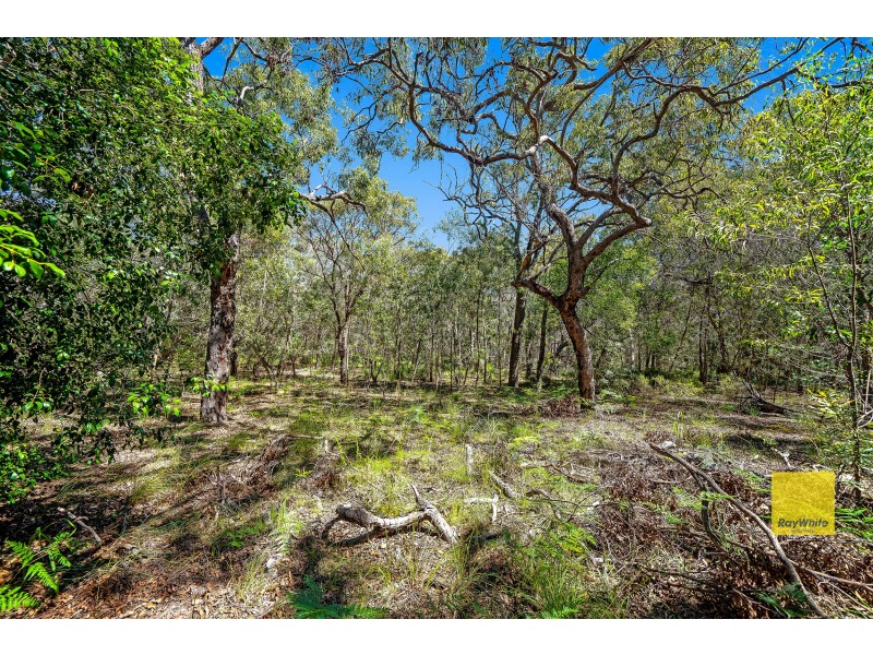 Lot 134 Bloodwood Avenue, Agnes Water QLD 4677