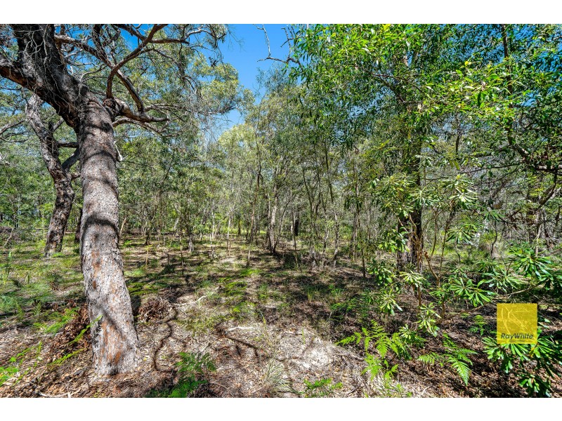 Lot 134 Bloodwood Avenue, Agnes Water QLD 4677