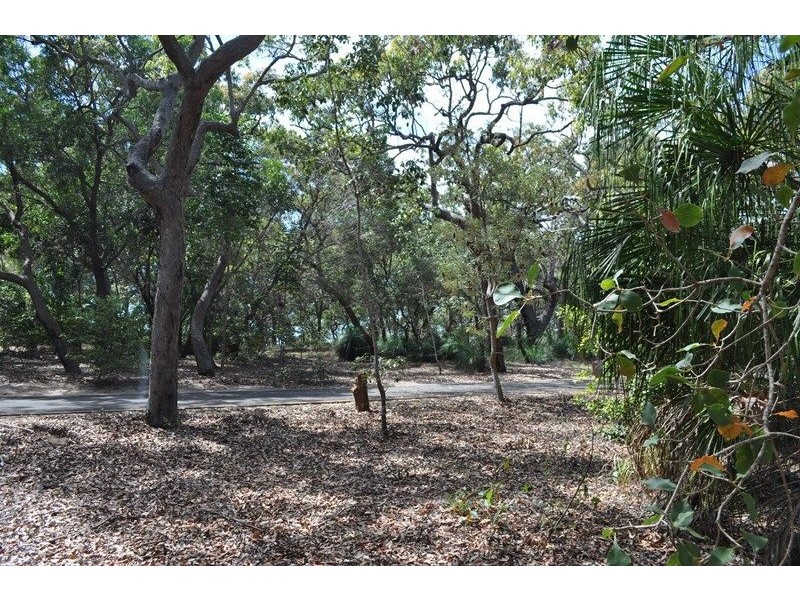 Lot 134 Bloodwood Avenue, Agnes Water QLD 4677