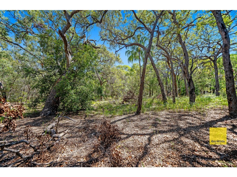 Lot 134 Bloodwood Avenue, Agnes Water QLD 4677