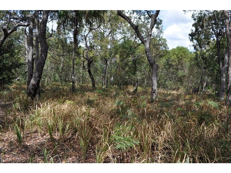Lot 134 Bloodwood Avenue, Agnes Water QLD 4677