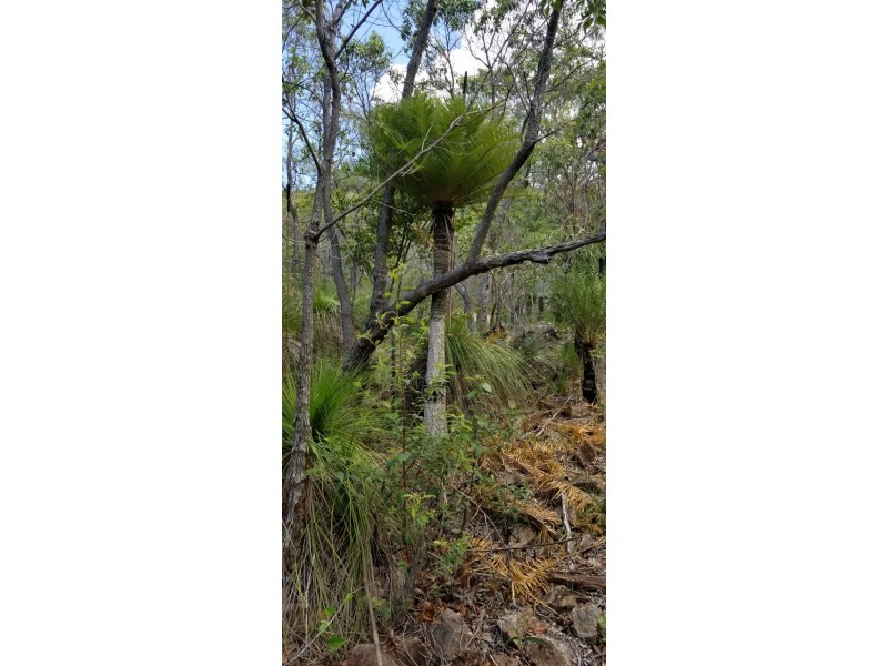 Lot 143 Josefski Road, Agnes Water QLD 4677