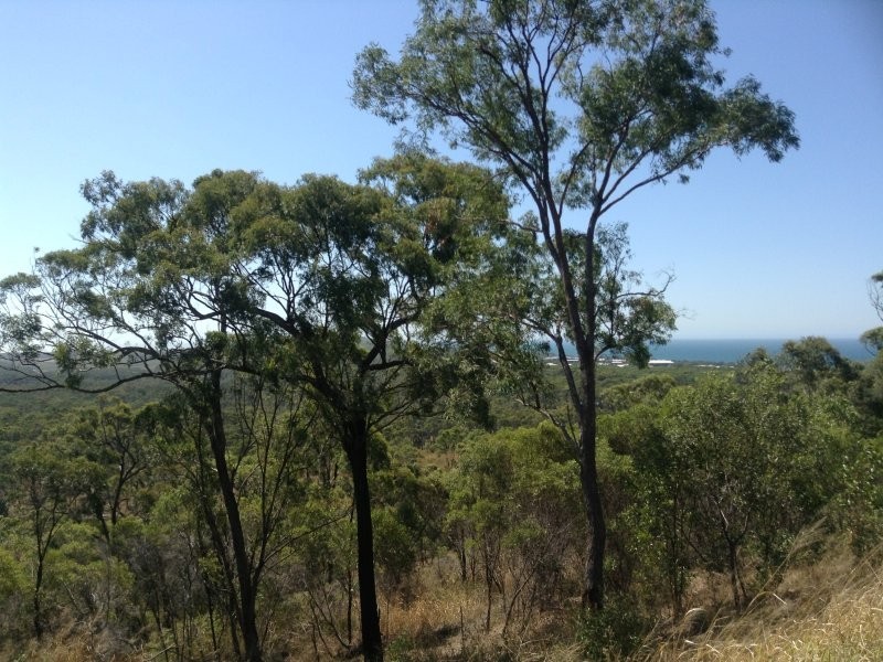 16 The Crescent, Agnes Water QLD 4677