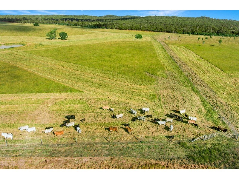 TAUNTON STATION – Taunton Road, Taunton QLD 4674