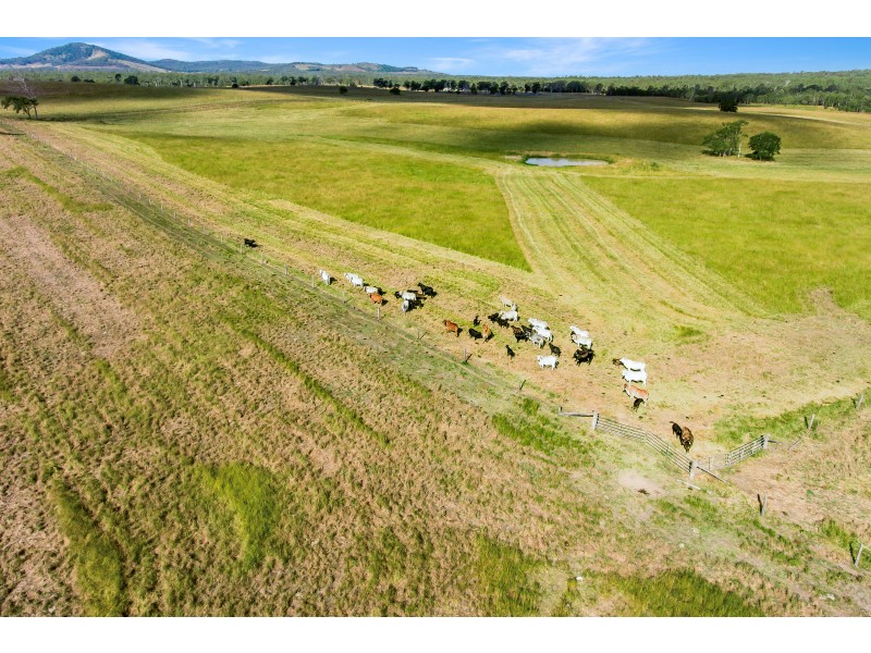 TAUNTON STATION – Taunton Road, Taunton QLD 4674