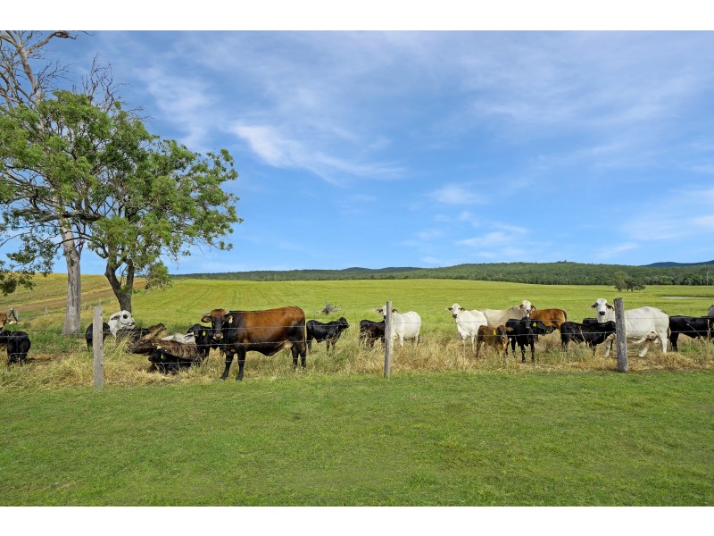 TAUNTON STATION – Taunton Road, Taunton QLD 4674