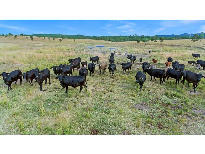 TAUNTON STATION – Taunton Road, Taunton QLD 4674