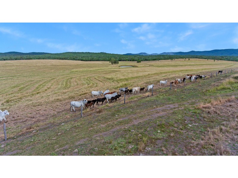 TAUNTON STATION – Taunton Road, Taunton QLD 4674