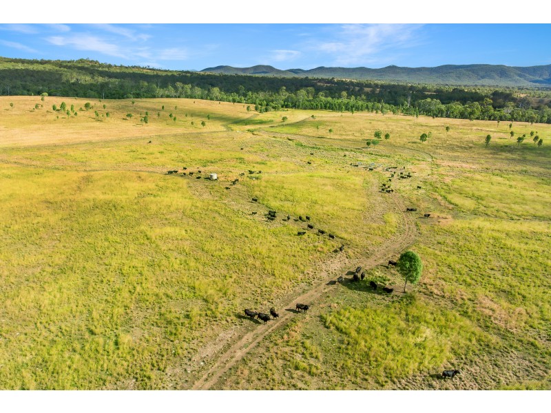 TAUNTON STATION Taunton Road, Taunton QLD 4674