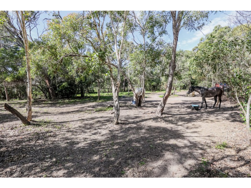 223 Bicentennial Drive, Agnes Water QLD 4677