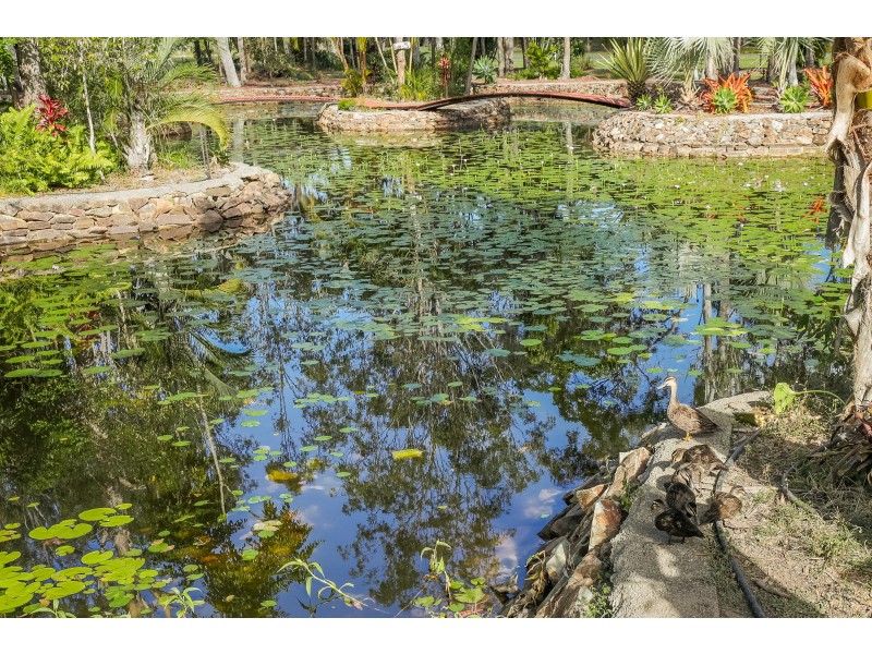 211 Allingham Way, Agnes Water QLD 4677