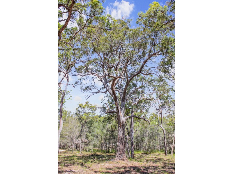 Agnes Water QLD 4677