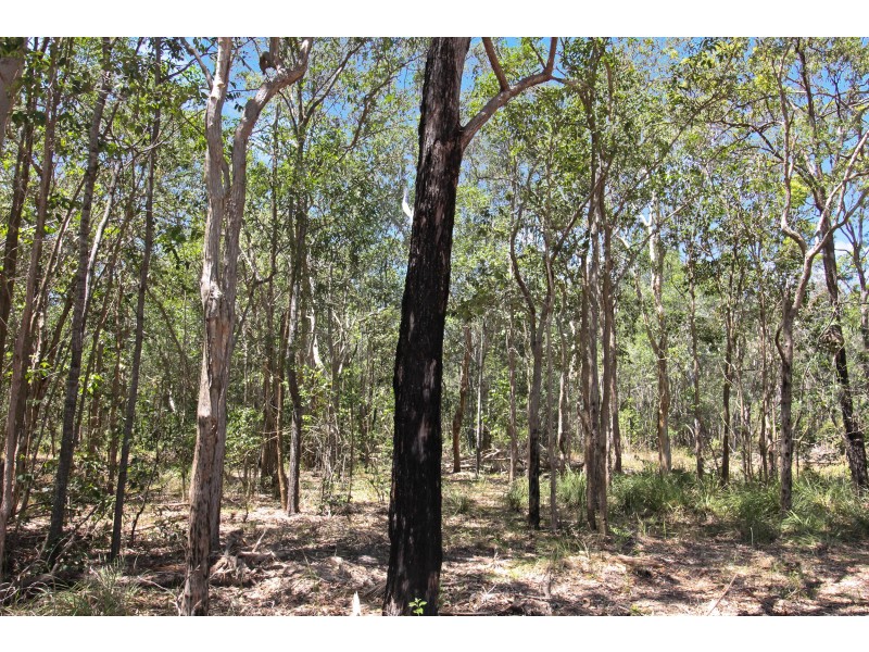 208 Ballantyne Road, Captain Creek QLD 4677