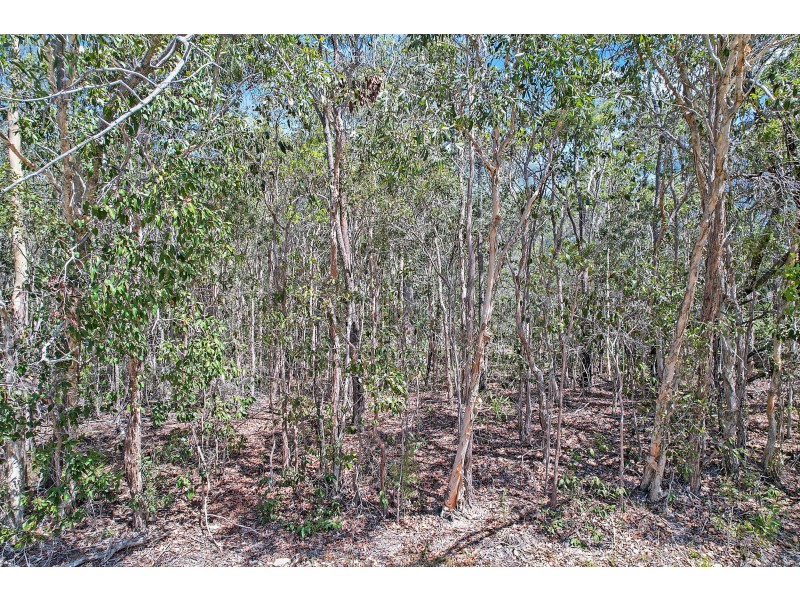 Lot 299 Masthead Drive, Agnes Water QLD 4677