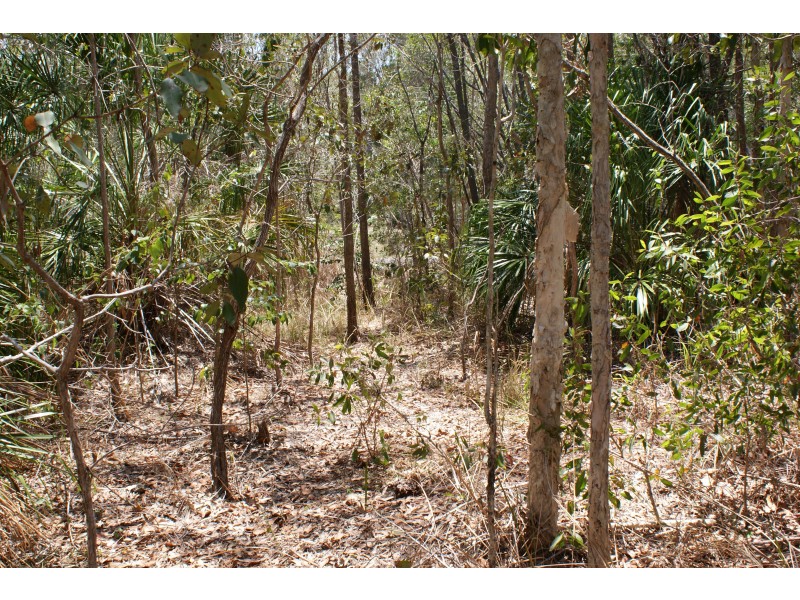 Lot 299 Masthead Drive, Agnes Water QLD 4677