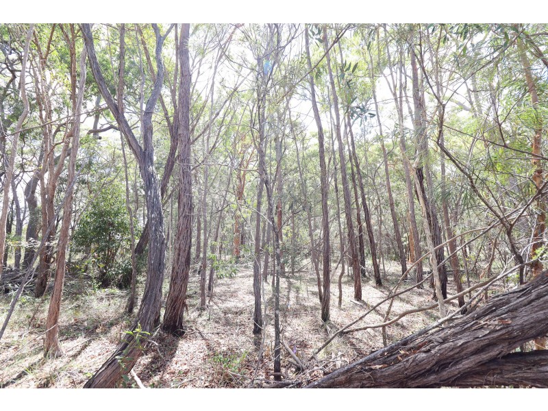 Lot 74 Mcghee Crescent, Agnes Water QLD 4677