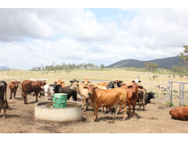 Lot 6 Bruce Highway, Gindoran QLD 4676