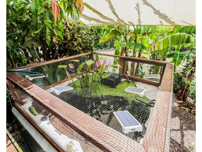 124 Rafting Ground Road, Agnes Water QLD 4677
