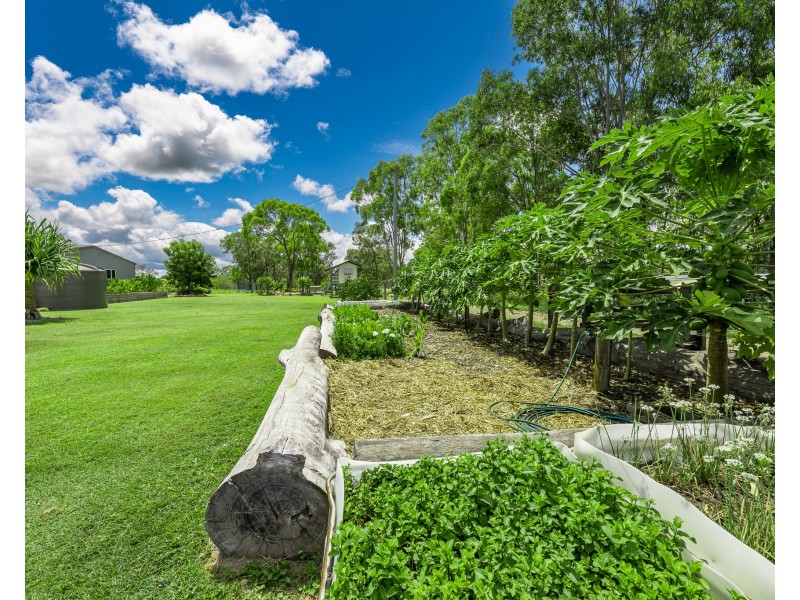 185 Dahls Road, Miriam Vale QLD 4677