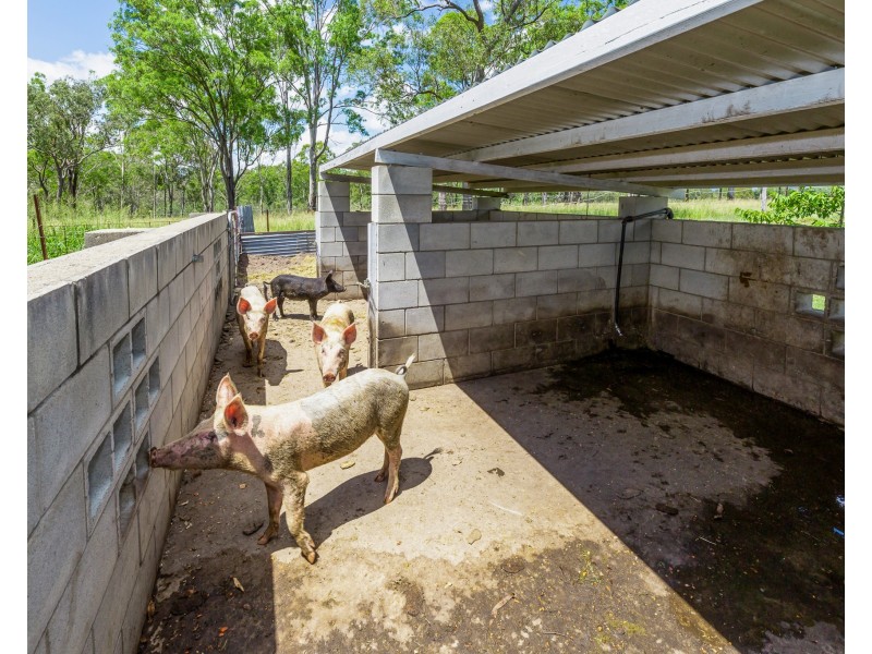 185 Dahls Road, Miriam Vale QLD 4677