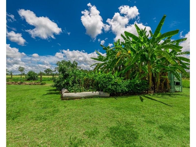 185 Dahls Road, Miriam Vale QLD 4677