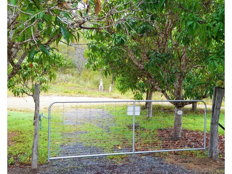 58 Wilson Drive, Agnes Water QLD 4677