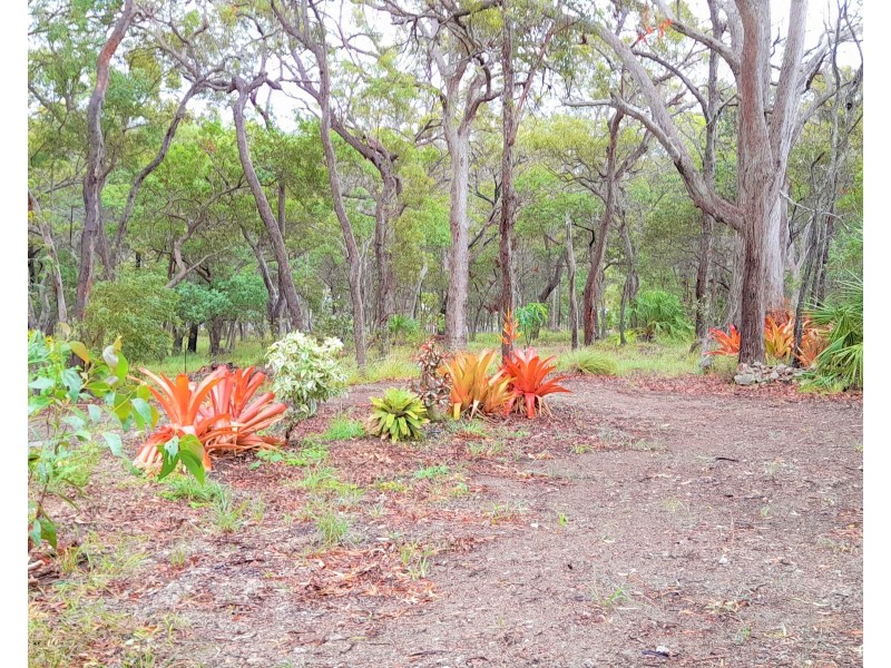 58 Wilson Drive, Agnes Water QLD 4677