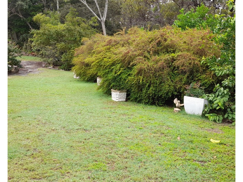 58 Wilson Drive, Agnes Water QLD 4677