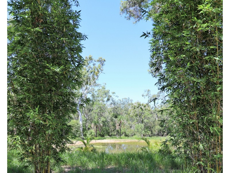 78 Innamincka Way, Agnes Water QLD 4677