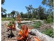 78 Innamincka Way, Agnes Water QLD 4677