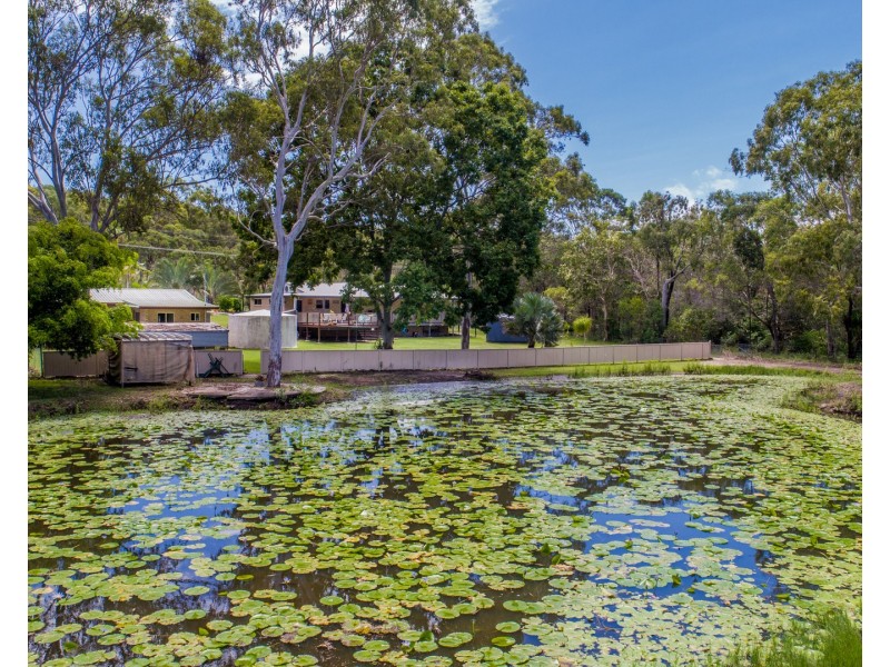 50 Wistari Terrace, Agnes Water QLD 4677