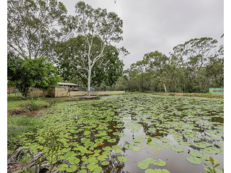 50 Wistari Terrace, Agnes Water QLD 4677