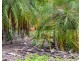 2381 Round Hill Road, Round Hill QLD 4677
