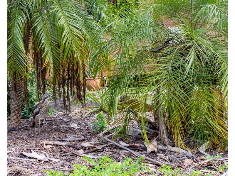 2381 Round Hill Road, Round Hill QLD 4677