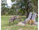 2381 Round Hill Road, Round Hill QLD 4677