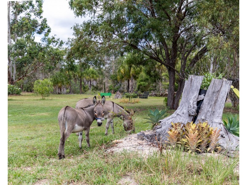 2381 Round Hill Road, Round Hill QLD 4677
