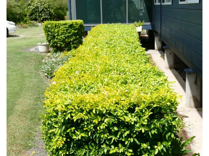 24 Dovedale Road, Miriam Vale QLD 4677