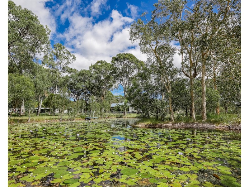 115 Allingham Way, Agnes Water QLD 4677