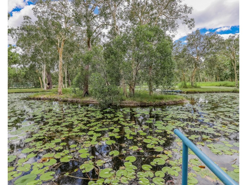 115 Allingham Way, Agnes Water QLD 4677