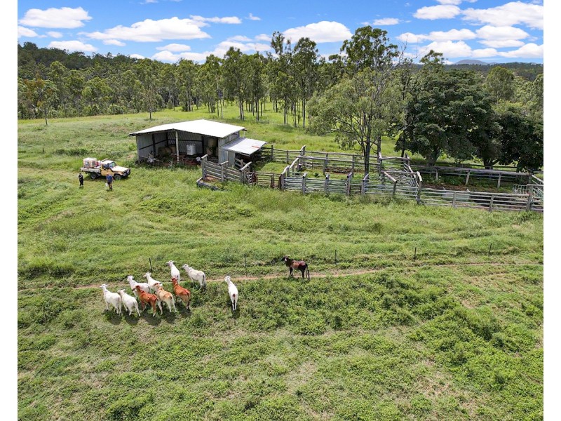 1158 John Clifford Way, Lowmead QLD 4676