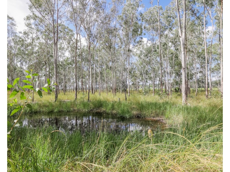 3183 Lowmead Road, Lowmead QLD 4676