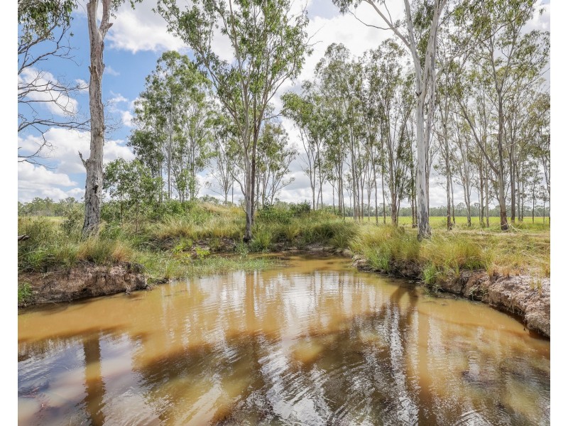 3183 Lowmead Road, Lowmead QLD 4676