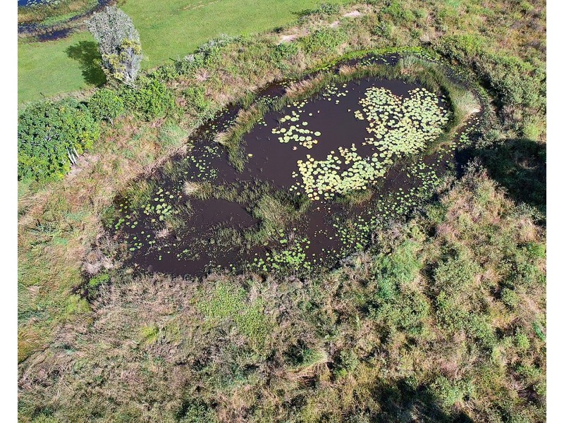 1285 Hills Road, Euleilah QLD 4674