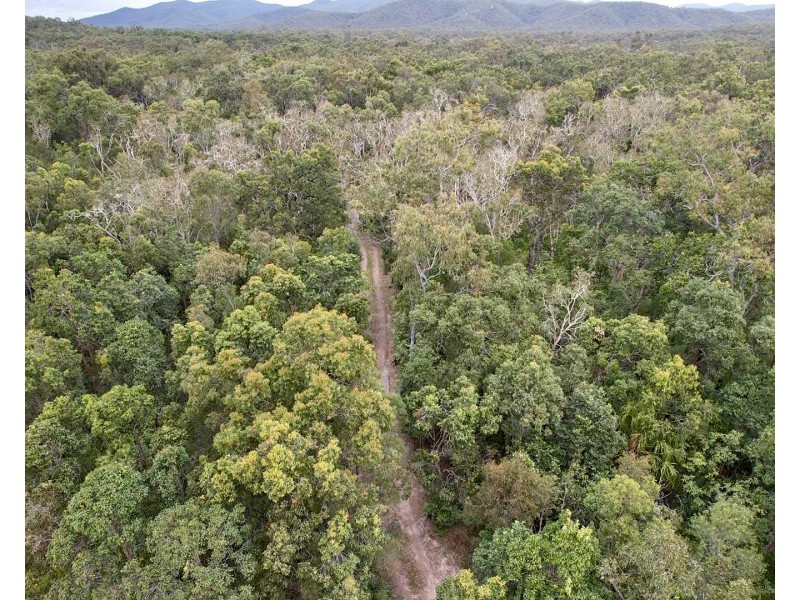 230 Avocado Crescent, Captain Creek QLD 4677