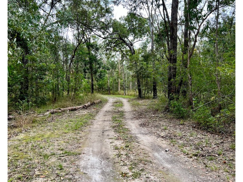230 Avocado Crescent, Captain Creek QLD 4677