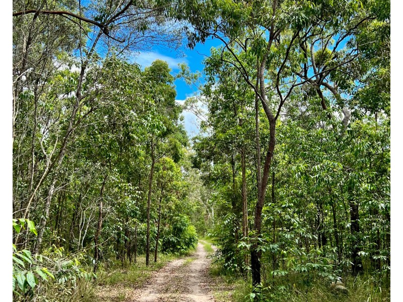 230 Avocado Crescent, Captain Creek QLD 4677